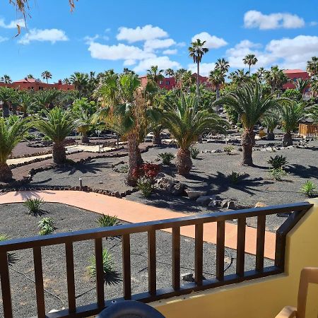 Apartament Oasis Royal F320 Corralejo Zewnętrze zdjęcie