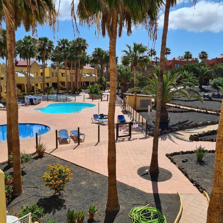 Apartament Oasis Royal F320 Corralejo Zewnętrze zdjęcie